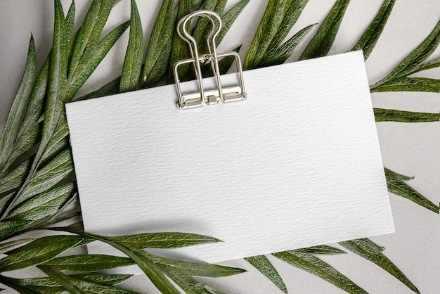 Png-Visitenkarten-Mockup auf Blatt-Hintergrund