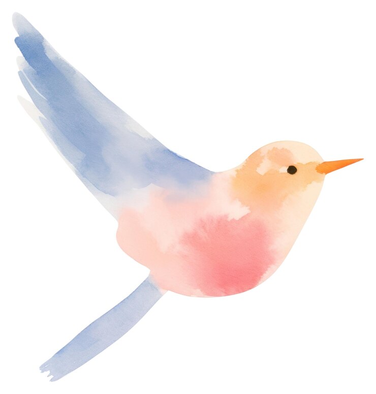 Foto png vogel tier weißer hintergrund kolibri