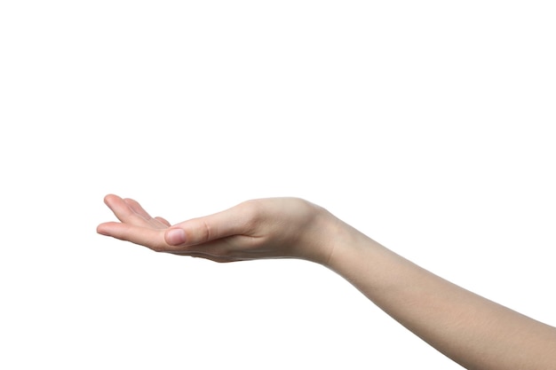 PNG weibliche Hand auf weißem Hintergrund