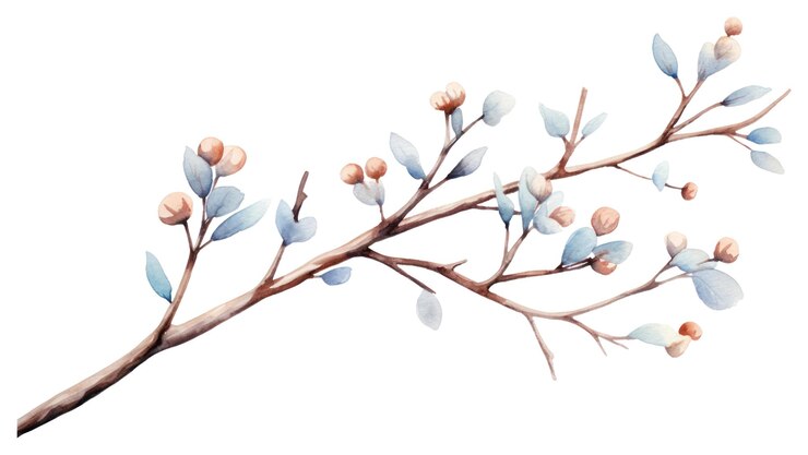 Foto png winterbaumzweig aquarell illustrierte blüte zeichnung