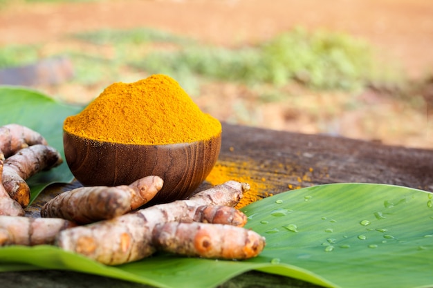 Pó da cúrcuma e cúrcuma fresca em bacias de madeira na tabela de madeira velha. Ervas