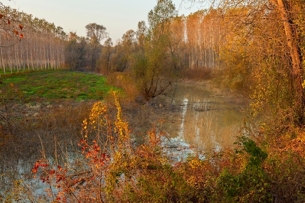 Po vista para o rio em um dia de outono