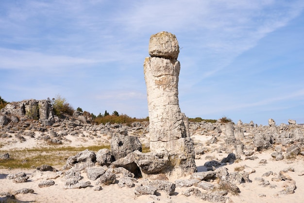 Pobiti Kamani La Reserva Natural del Bosque de Piedra cerca de Varna en Bulgaria