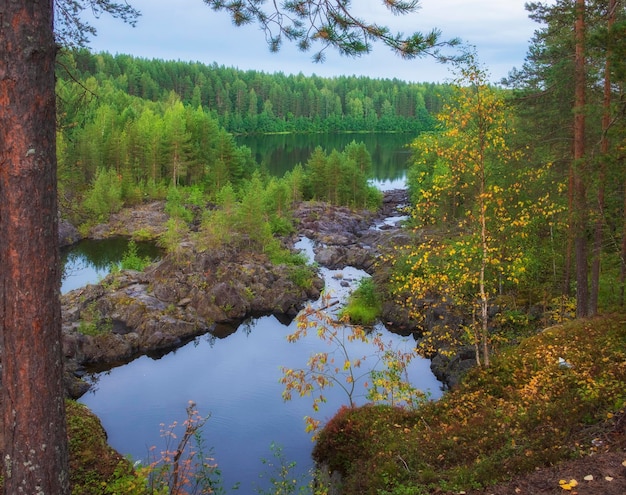 Pobre limiar de porog no verão da paisagem russa do rio suna karelia