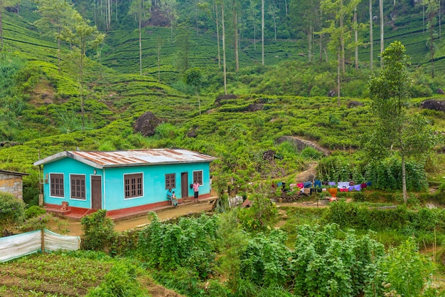 Pobres casas em ruínas dos habitantes da ilha do sri lanka. hospedagem na selva.