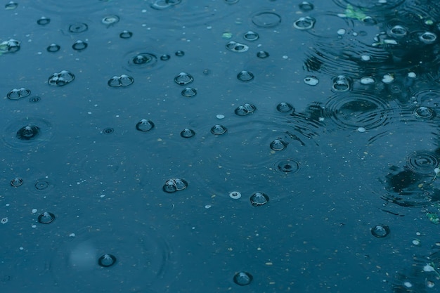 Poça de chuva / gotas de chuva com fundo azul, círculos em uma poça, bolhas na água, o clima é outono