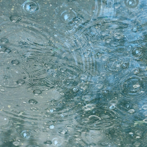 Poça de chuva / gotas de chuva com fundo azul, círculos em uma poça, bolhas na água, o clima é outono