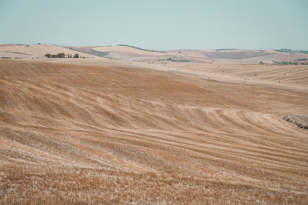 Época de colheita no campo