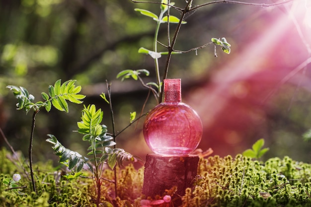 Poção mágica rosa na garrafa na floresta