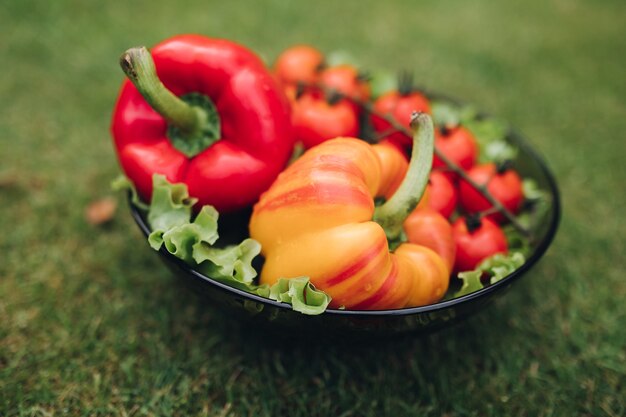 Pocos vegetales frescos apetitosos en un plato sobre la hierba verde en un día soleado de verano en plena toma. Montón de jugoso tomate lechuga pimiento listo para picnic al aire libre alto ángulo