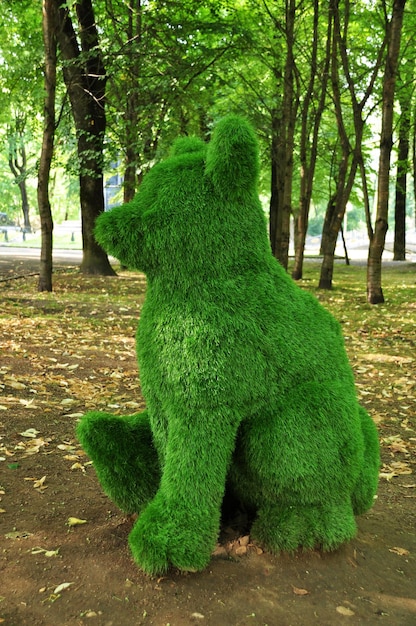 Poda artística. Arbustos verdes recortados, una figura de oso sentado. 02 de agosto de 2021, Smolensk, Rusia.