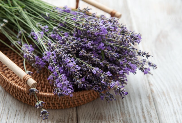 Poda estacional de lavanda.