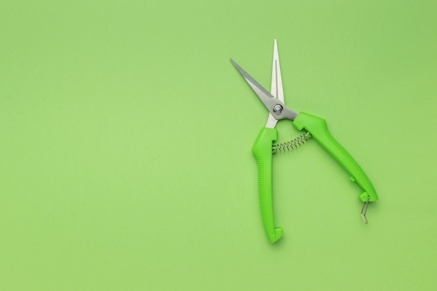 Foto un podador verde para podar plantas sobre un fondo verde