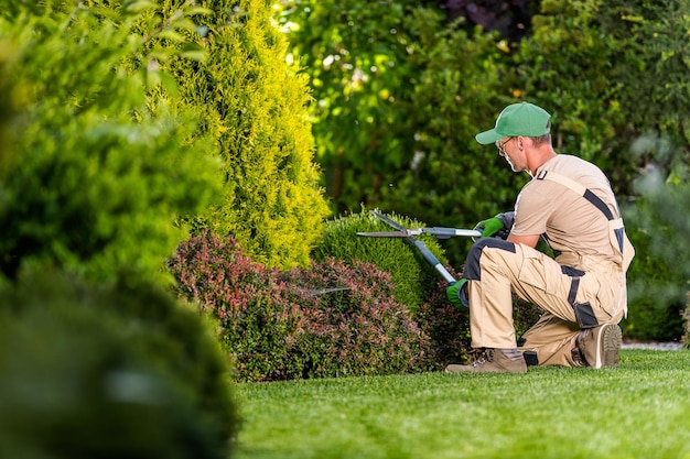 Podas de jardim para manter a aparência de arbustos, arbustos, árvores e outras plantas Paisagista profissional Cortando os galhos e folhas supercrescidos com tesouras de jardim