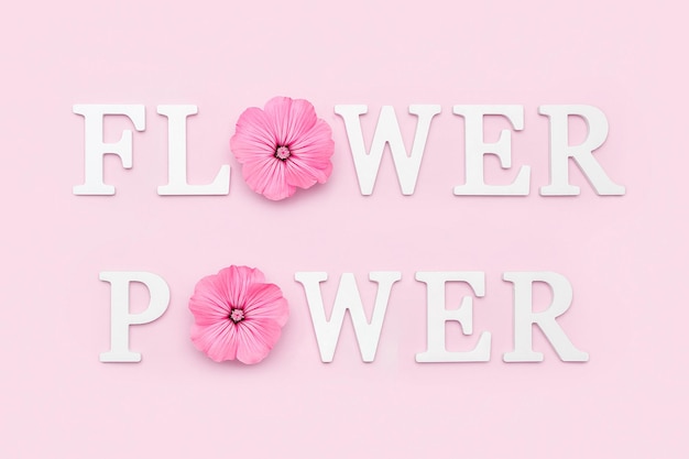 Foto poder da flor. slogan de letras brancas e flores naturais de beleza em fundo rosa. conceito criativo. vista superior, configuração plana