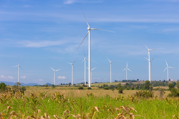 Poder de Eco, turbina de viento en la hierba verde y campo de maíz sobre el cielo nublado azul