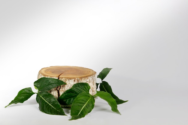 Pódio de fatia de madeira com folhas