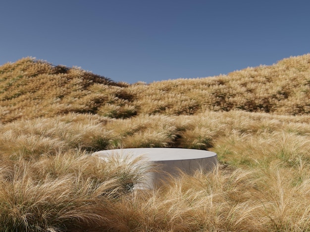 Pódio de mármore no jardim de campo de grama amarelo natural com céu azul claro para apresentação de produtos cosméticos ilustração de renderização 3D
