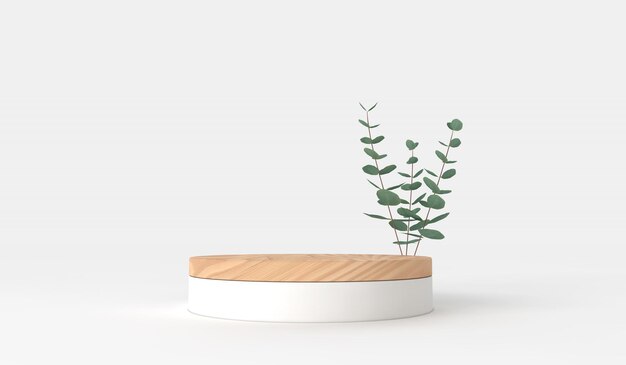 Podio de diseño de exhibición de producto mínimo con hojas de eucalipto verde d render