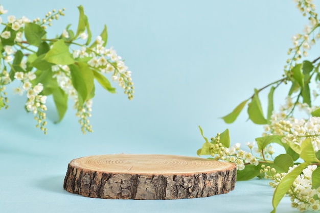 Un podio de madera con una rama de flor de cerezo sobre un fondo azul claro