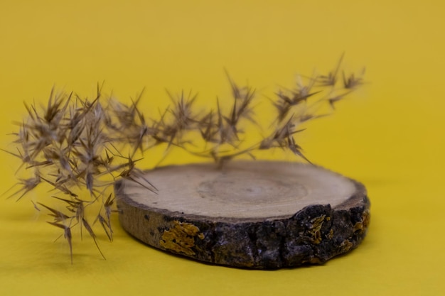 Podio de madera sobre un fondo amarillo con panículas de hierba seca Un escenario para una demostración de producto un escaparate