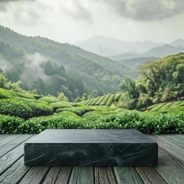 Un podio de mármol de piedra en una mesa de madera para el diseño del producto con fondo de bosque verde