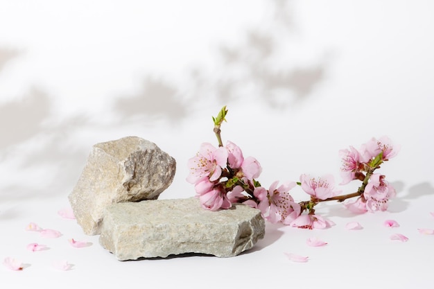 Podio o pedestal de piedra natural decorado con ramitas de flor de cerezo Maqueta cosmética