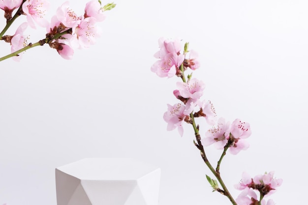 Podio o pedestal para productos cosméticos decorados con ramitas de flor de cerezo Plantilla cosmética