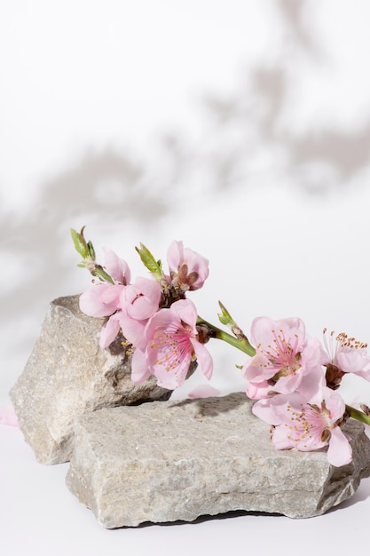 Pódio ou pedestal de pedra natural decorado com galhos de flor de cerejeira Maquete cosmética