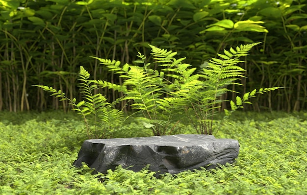 Podio de piedra en el bosque tropical para producto.