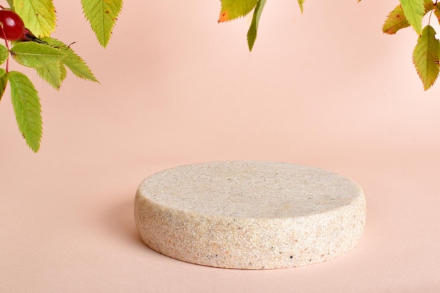 Podio de piedra con hojas de rosa mosqueta para la presentación del producto Escena minimalista de un árbol caído con una rama multicolor