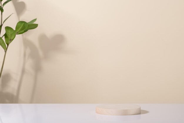 Foto podio de plataforma de disco de madera de pino rústico ecológico y hoja tropical sobre fondo de espacio de copia de luz y sombra escena de presentación de producto de exhibición vacía mínima