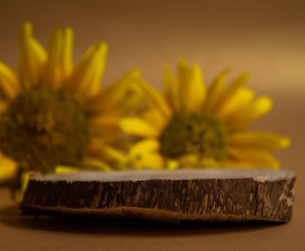 Podio de productos de madera o escaparate con girasoles. Fondo de presentación para perfumería y cosmética.