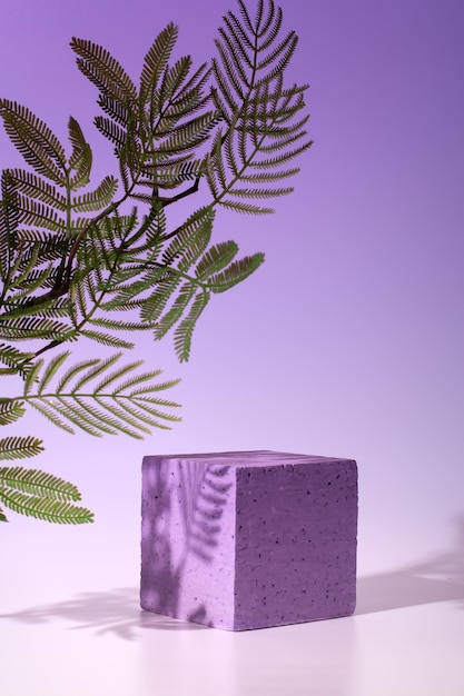 Podio vacío o soporte para exhibición de productos planta y sombra sobre fondo violeta Etapa de producto cosmético en colores violetas con sombra de planta sobre fondo degradado