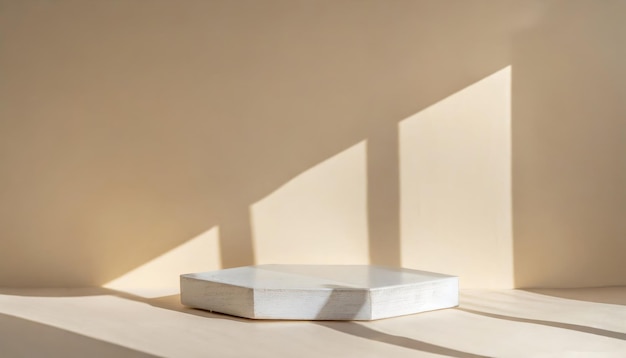 Podium de exibição de produtos com folhas de natureza de sombra no fundo da parede Estilo minimalista