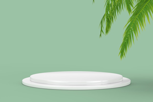 Podium de la etapa o vitrina con hojas de palma tropical verde sobre un fondo verde Rendering 3d