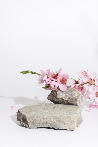 Podium oder Sockel aus Naturstein, geschmückt mit Kirschblütenzweigen Kosmetik-Mockup