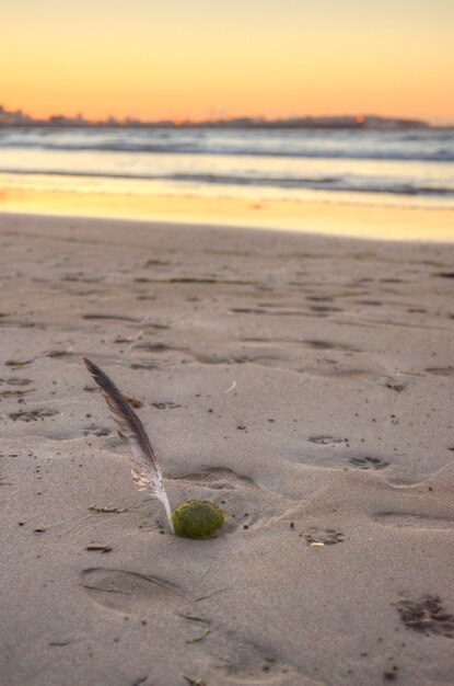 Poesie auf den Sand geschrieben