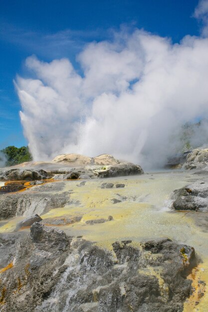 Pohutu-Geysir im Whakarewarewa Thermal Valley Rotorua auf der Nordinsel Neuseelands Pohutu