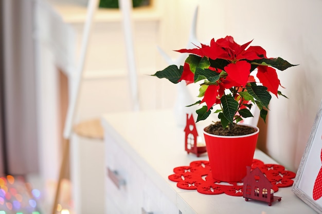 Poinsétia de flores de Natal e decorações na prateleira,