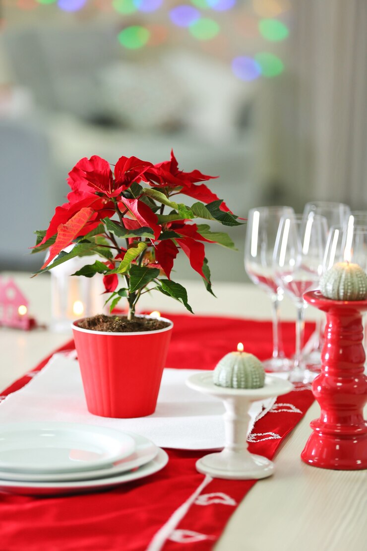 Foto poinsétia de flores de natal na mesa com luzes de fundo
