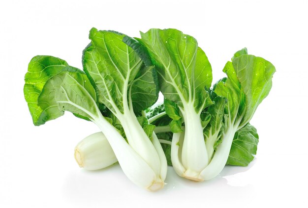 Pok Choi aislado en blanco