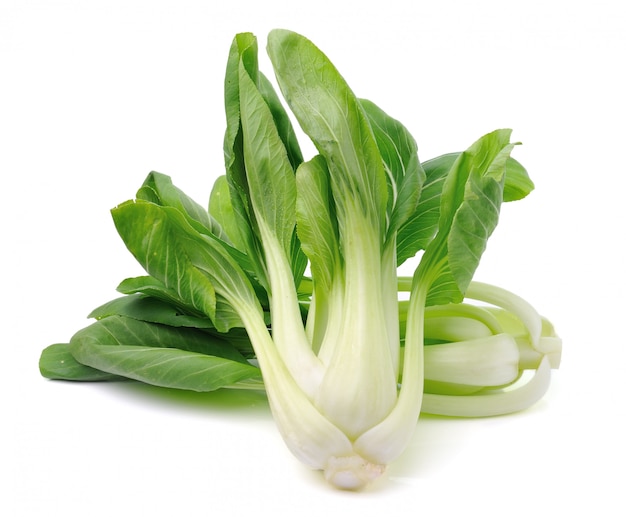 Pok Choi vegetal isolado no fundo branco