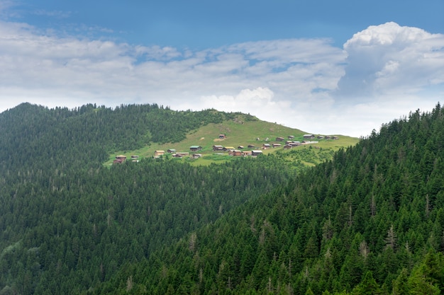 Pokut Plateau Rize Camlihemsin Turquía