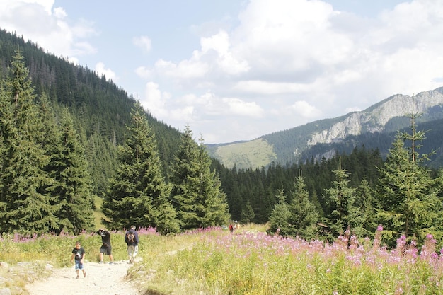 Polen Tatra-Gebirge