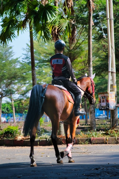 Foto un policía indonesio a caballo patrulla en yogyakarta el 27 de julio de 2023