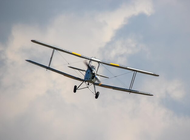 Foto una polilla tigre de havilland dh-82a