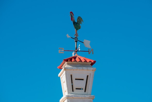 Polla portuguesa encima de la chimenea.