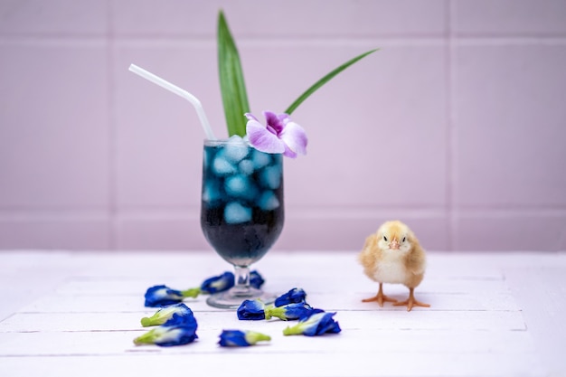 Un pollito amarillo con agua de guisantes y hielo en una copa de champán está decorado con hojas de orquídeas y pandan. Se muestra y se exhibe en una mesa de madera de color rosa pastel frente a la pared de cemento.