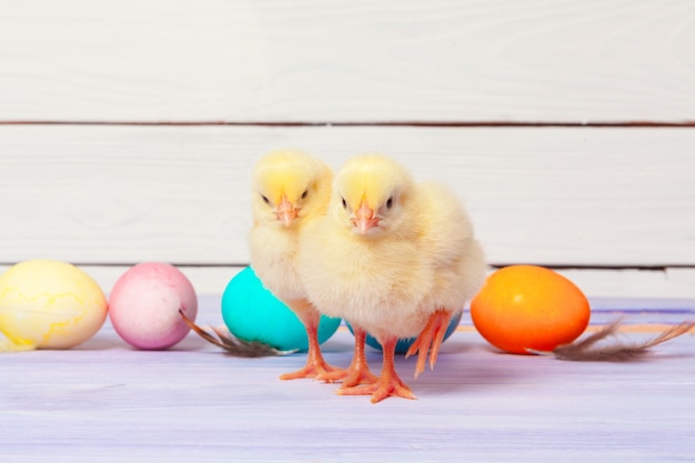 pollito con huevos de pascua en mesa de madera